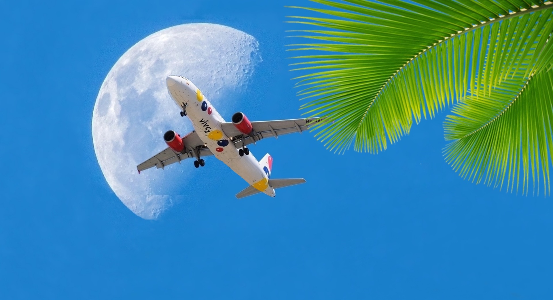 airplane flying in front of moon and behind palm tree