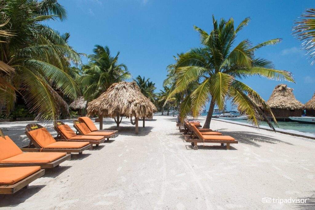 white sand beach with orange lounge chairs