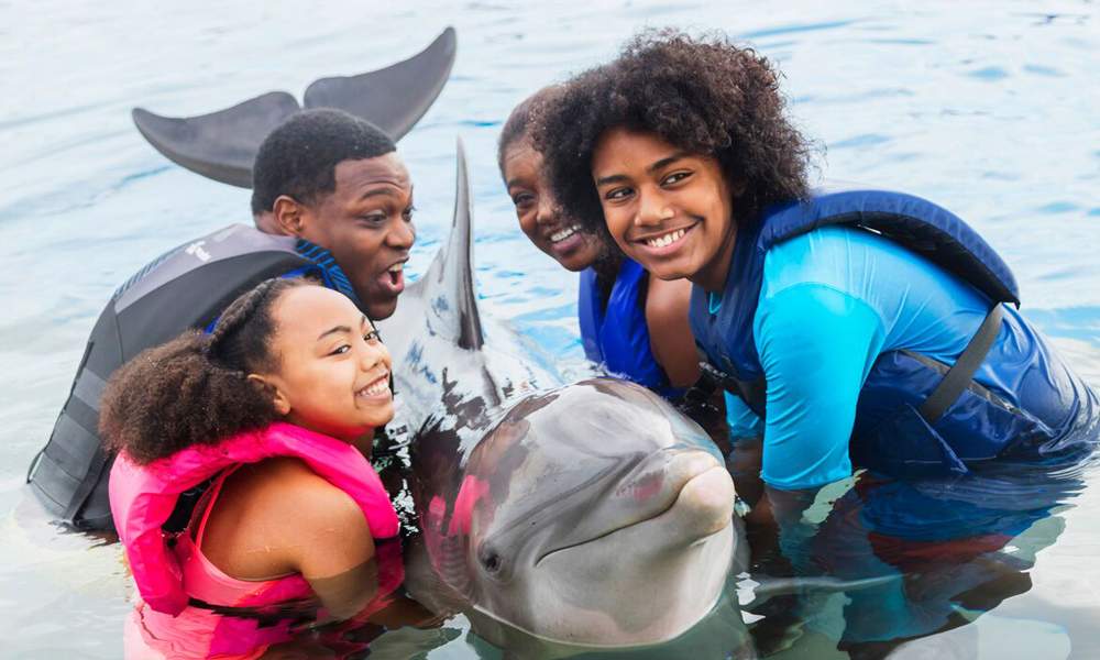 family holding dolphin in water