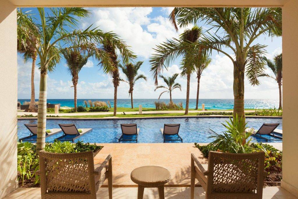 palm trees around resort pool