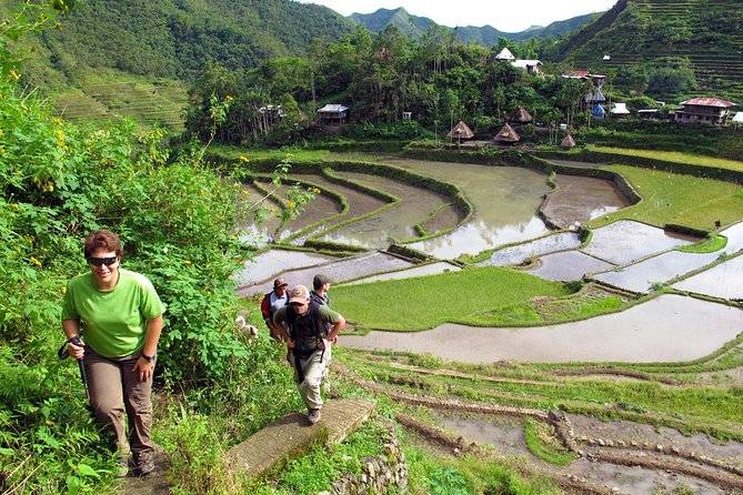 two people climbing up hill from rice field