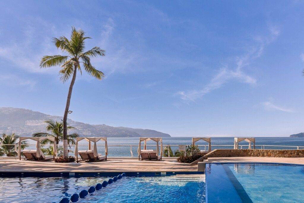 palm tree at resort pool