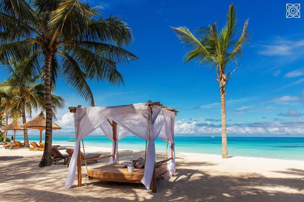 covered bed on beach with palm trees